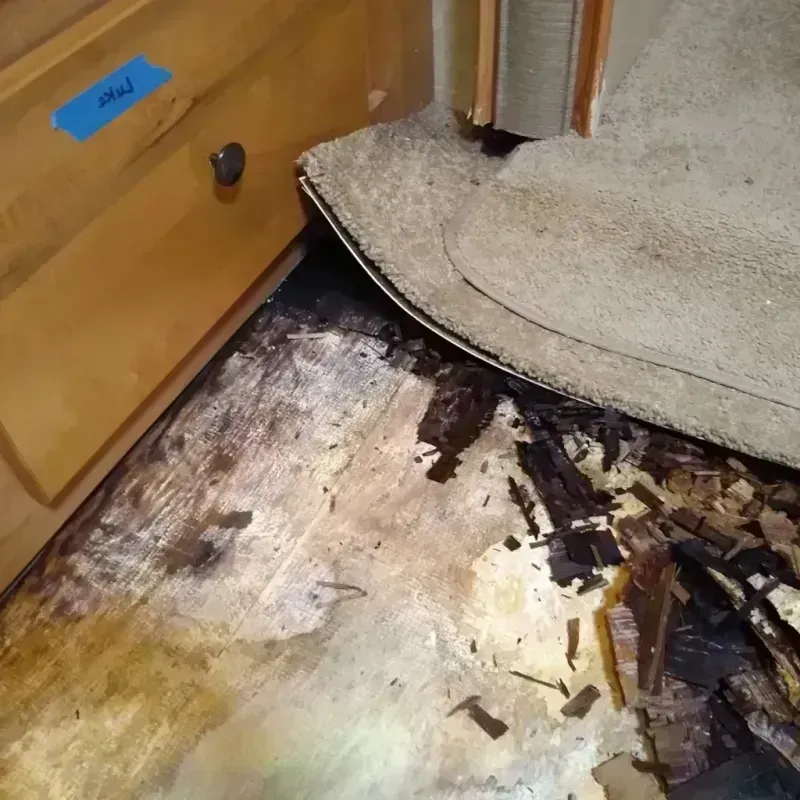 Wood Floor Water Damage in White County, IL